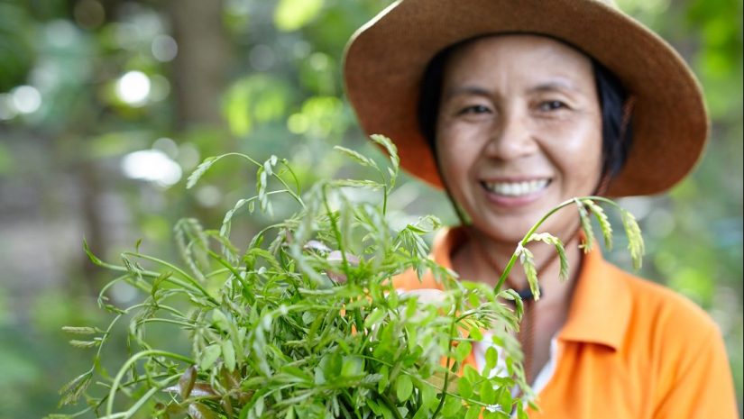Massaman Gewürzproduzentin Khun Orachan