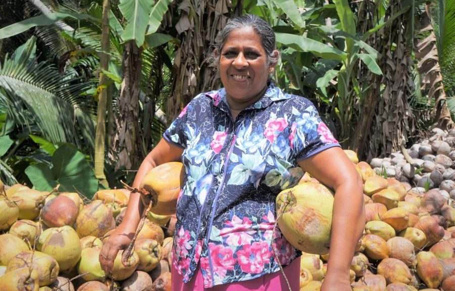 Eine unserer Kokosnussproduzentinnen in Hakmana: Mrs. Chandralatta 