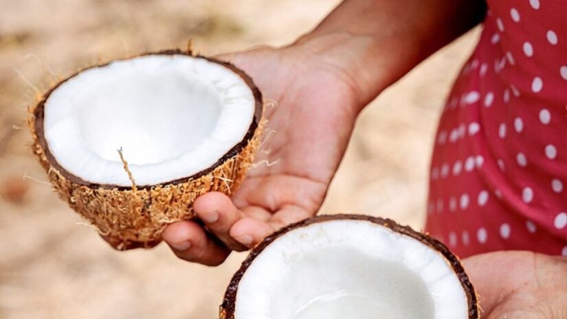 Coconut Sri Lanka