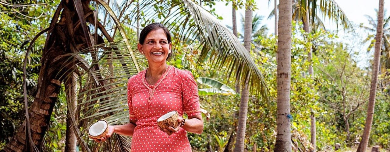 Suthisa Header Coconut