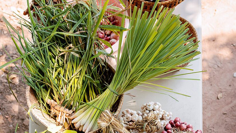 Sisaket farmer kooperative produkte