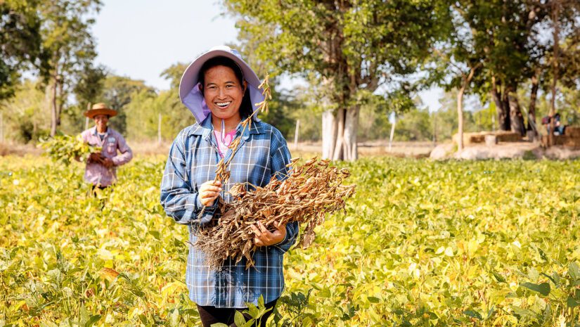Thailand-Soy-Farmer-Khun-Ankana-
