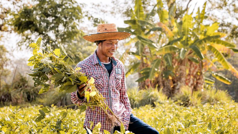 Thailand-Soy-Farmer-Khun-Ankana-