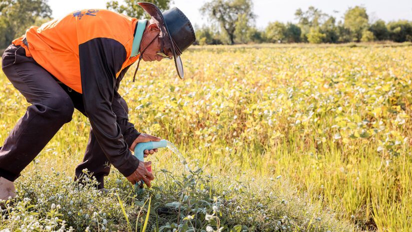 Thailand-Soy-Farmers-together