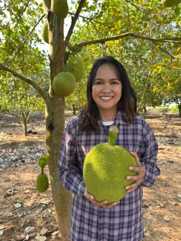 Jackfruit Farmer